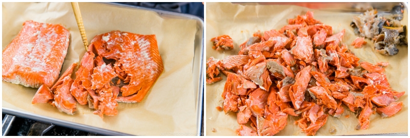 Salmon Flakes 4